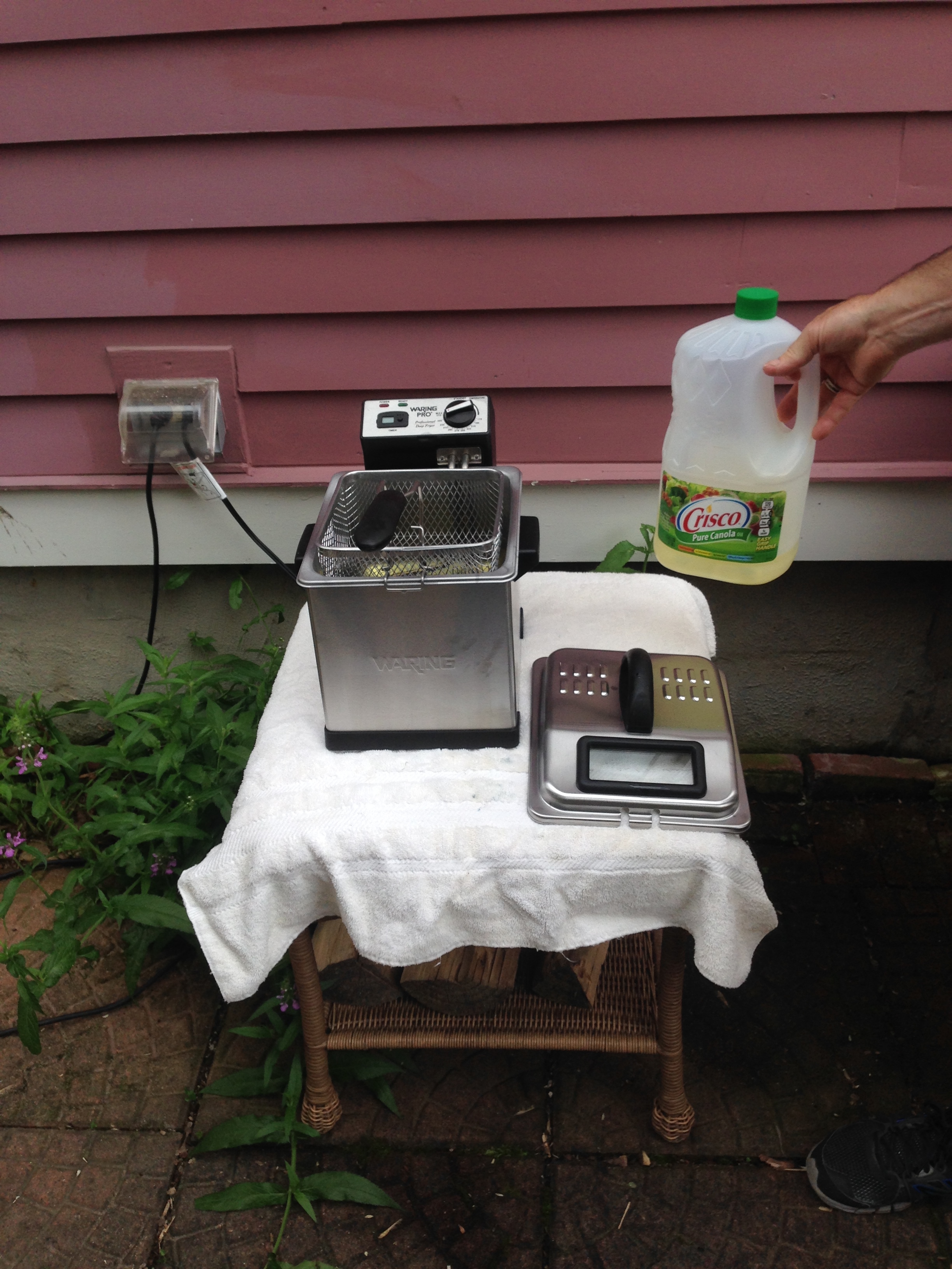 Fryer in the garden